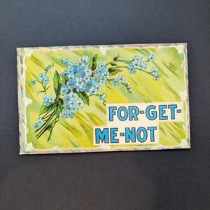 5/$25 Vintage 1910 Marked Embossed Forget-Me-Not Postcard